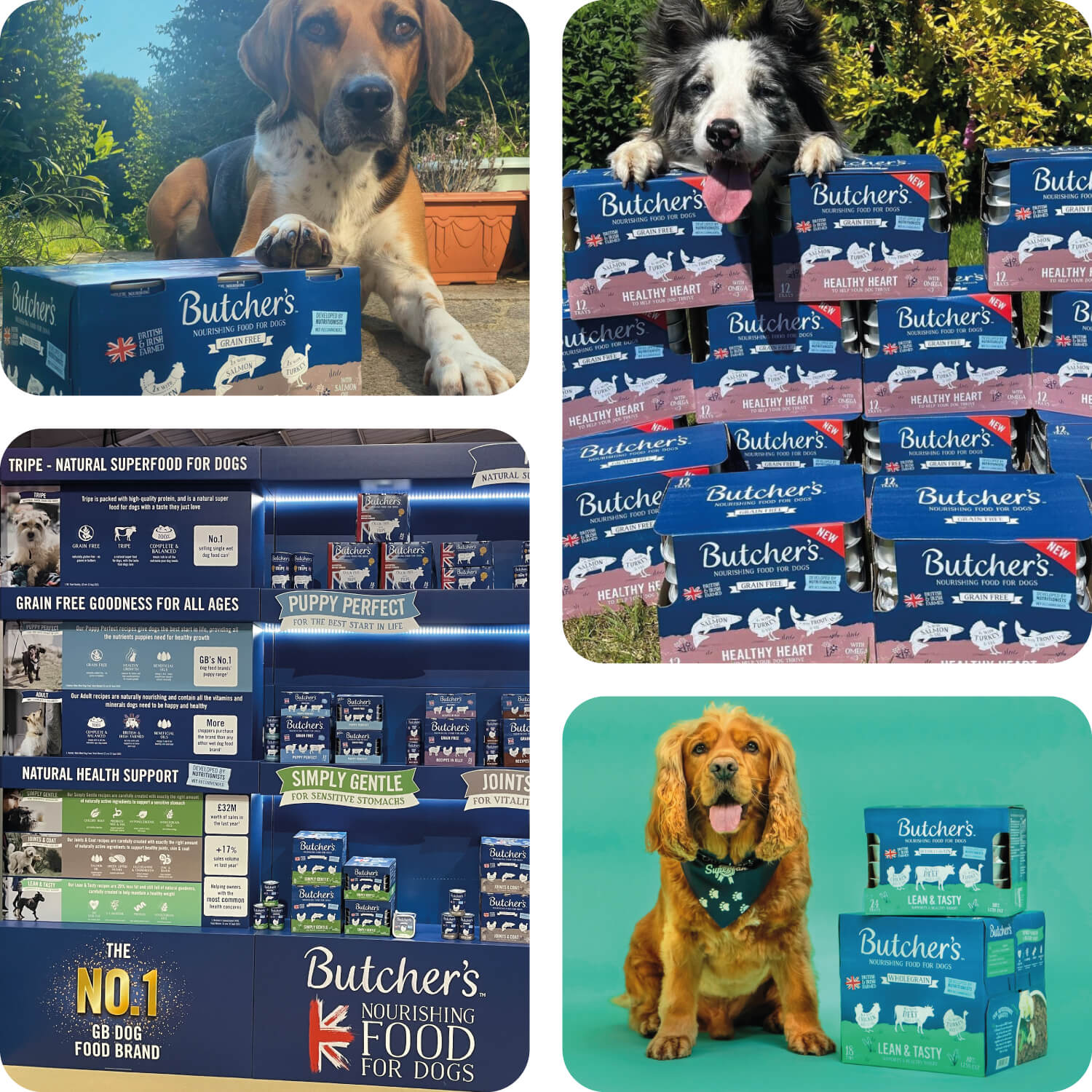 Butcher’s dog food promotional photography, retail displays and brand activation showcasing packaging in real-world settings
