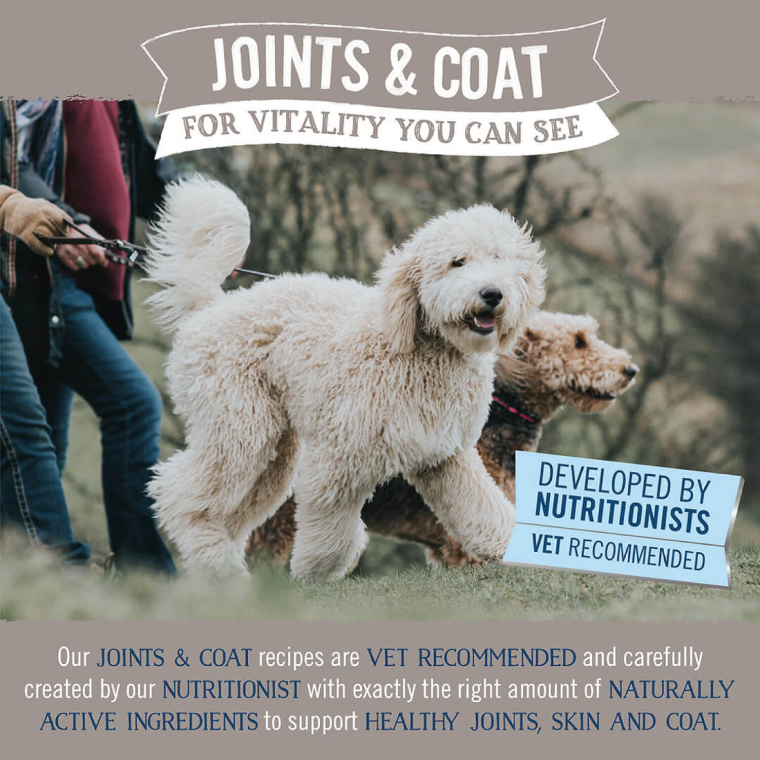Butcher’s Joints & Coat dog food marketing image showing health benefits for joints, skin and coat