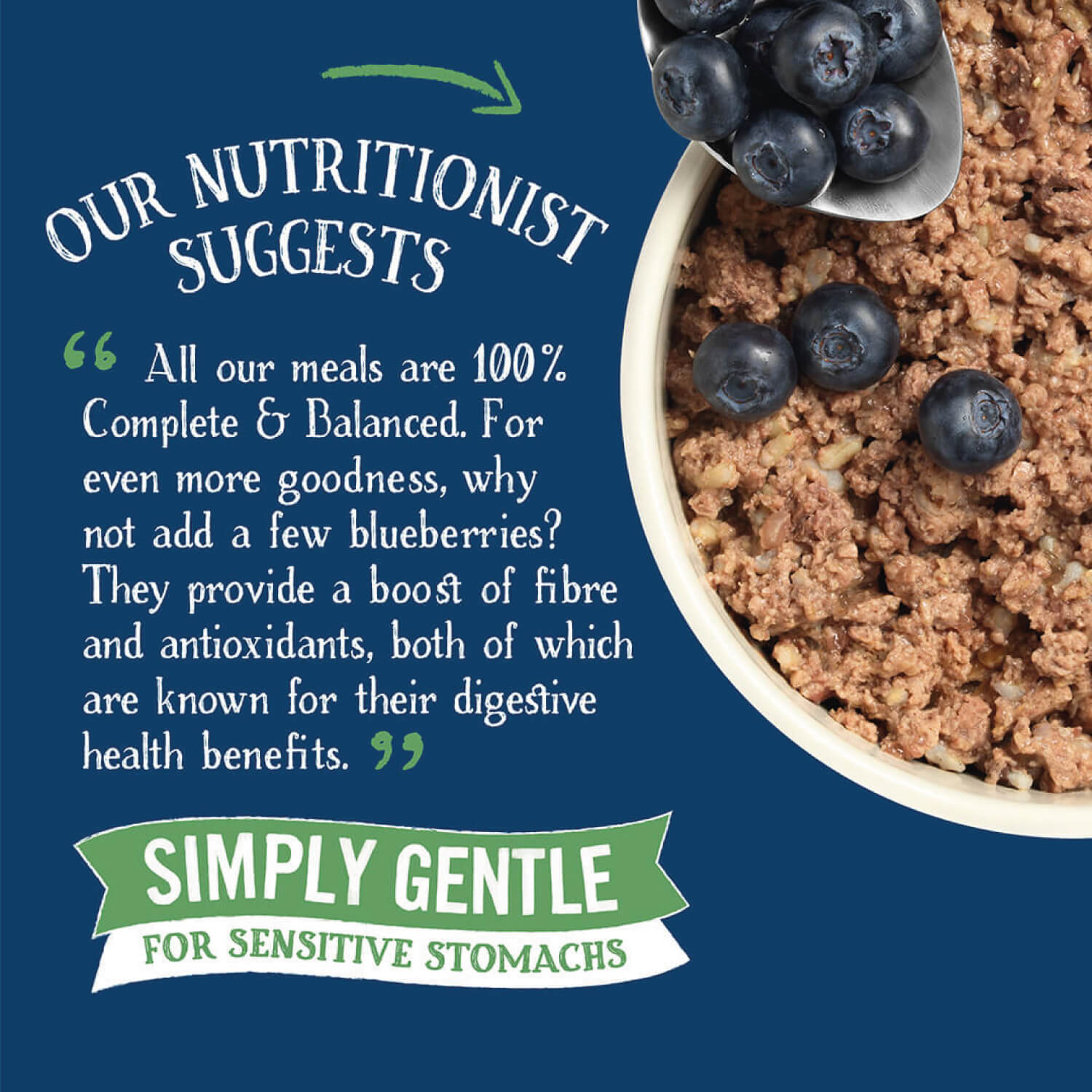 Butcher’s Simply Gentle dog food marketing image showing digestive health benefits for sensitive stomachs
