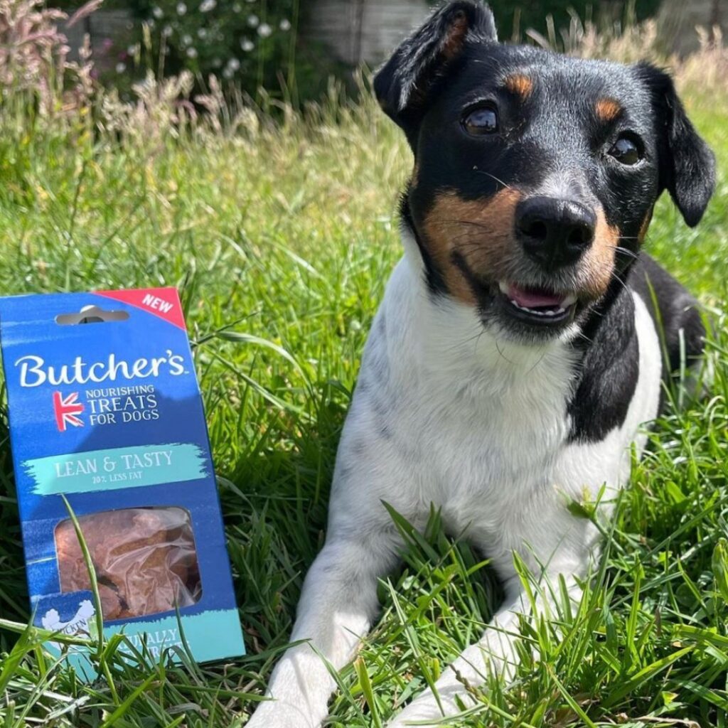 Butcher's Nourishing Treats for Dogs Packaging with Happy Dog lay down in the grass