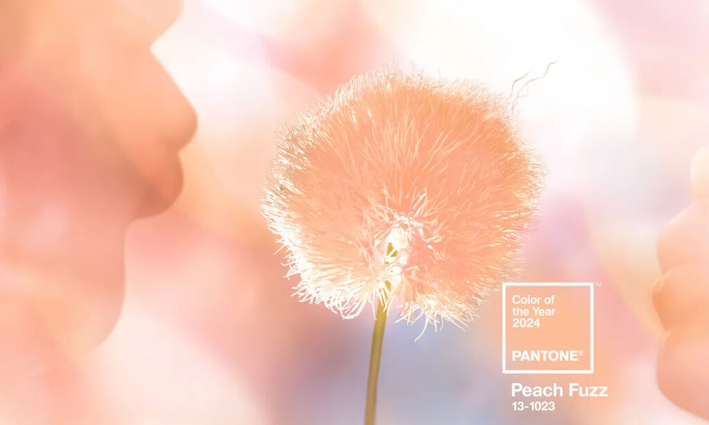 Pantone Colour of year Peach Fuzz